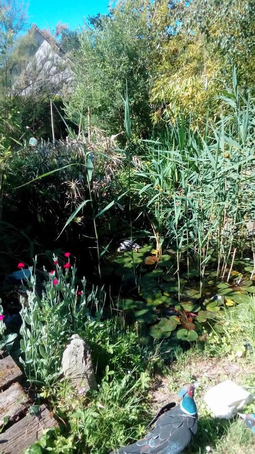 O Tour Du Monde Bed and Breakfast Cellettes  Εξωτερικό φωτογραφία